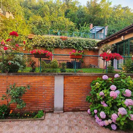 Villa Aya - With Sauna And Outdoor Swimming Pool Mostar Buitenkant foto