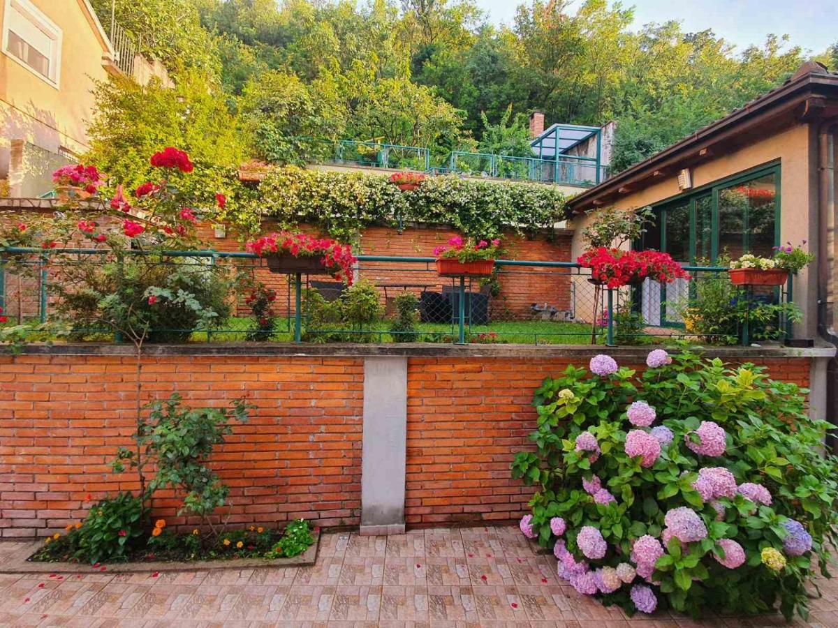 Villa Aya - With Sauna And Outdoor Swimming Pool Mostar Buitenkant foto