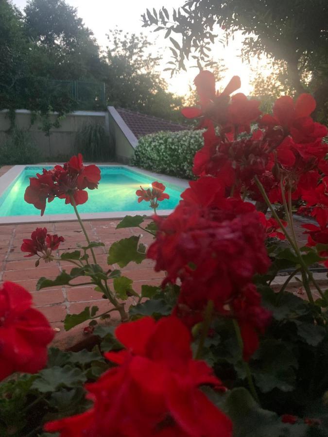Villa Aya - With Sauna And Outdoor Swimming Pool Mostar Buitenkant foto